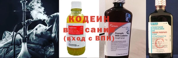 соль ск Каменногорск