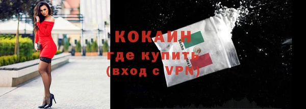 соль ск Каменногорск