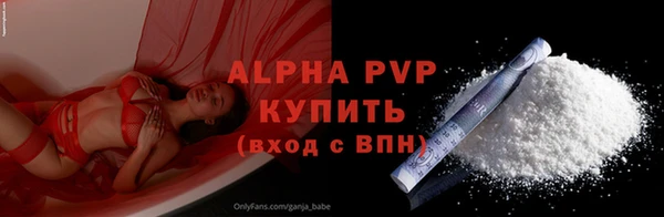 соль ск Каменногорск