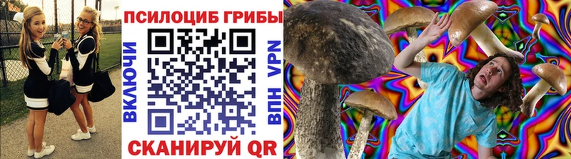 Купить где  Тамбов  Галлюциногенные грибы ЛСД 