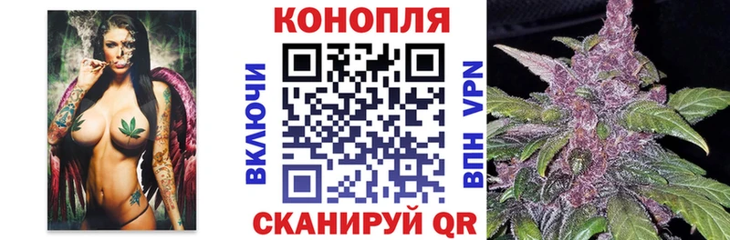 Шишки марихуана VHQ  Купить  Тамбов 